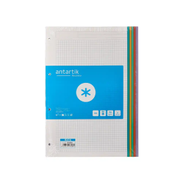 Antartik Recambio A4 80 Hojas 90gr Cuadro 5 mm 4 Taladros Bandas de 5 Colores Pastel