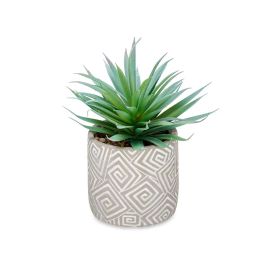 Planta Hoja Punta Maceta Gris Ibergarden 17X21CM (8 Unidades) Planta Hoja Punta Maceta Gris Ibergarden 17X21CM (8 Unidades)