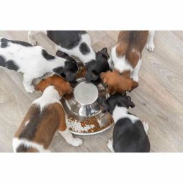 Comedero para Mascotas Trixie Acero Inoxidable 1,4 L Plateado