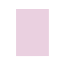 Liderpapel Cartulina A4 180g/m2 Rosa Paquete de 100 Hojas