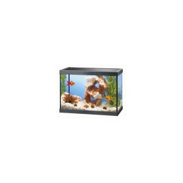 Sandimas AQUARIO AQUA 15 35x17,5x24,8cm 13L Cristal Filtro Ciano Tapa Protección Precio: 42.8219. SKU: B19RXCKQBV