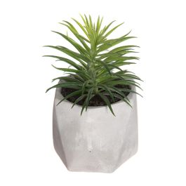 Atmosphera Planta Decorativa en Maceta de PVC Verde 7x14cm - Modelos Surtidos Precio: 4.88999962. SKU: S7902145