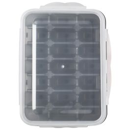 Cook Concept Molde 21 Cubitos Con Tapa