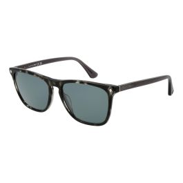 Gafas de Sol Hombre Web Eyewear WE0363 5520V Precio: 73.68999946. SKU: B1HNFTNJRA