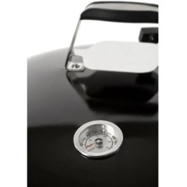 Fieldmann Barbacoa de Carbón FZG 1016