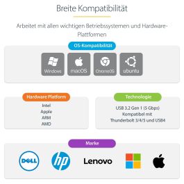 Cable USB Startech 1GPD3-USB-C-ETHERNET Gris