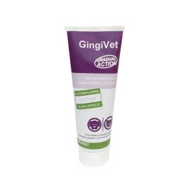 Stangest Gingivet Pasta 100 gr Precio: 13.4999997. SKU: B13HWR9ZRW