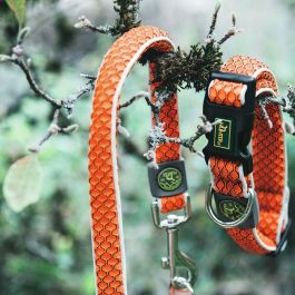 Hunter Collar Hilo Vario Basic M Naranja para Perro Cuello 33-50cm, Transpirable, Ligero y Refrescante con Material Reflectante para Seguridad
