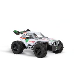 Carrera RC Offroad 2.4GHz Team Rider Coche Teledirigido