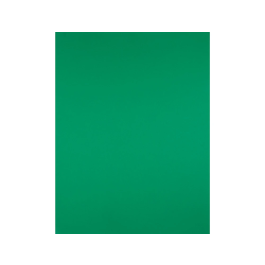 Liderpapel Cartulina Verde Navidad 50x65 cm 180g/m2 Paquete 25 Hojas para Dibujo y Manualidades