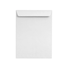 Liderpapel Sobre Bolsa N.8 Blanco DIN 229x324 mm Tira de Silicona Caja de 250 Unidades