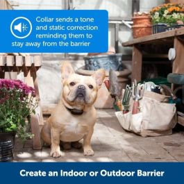 Petsafe Collar adicional Mini Barrier negro para gatos y perros - Receptor ligero, impermeable, corrección estática progresiva (6-28")