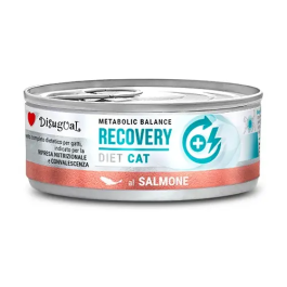 Disugual Diet Cat Recovery Salmon 12x85 gr Precio: 16.5. SKU: B1CJHH5WFQ