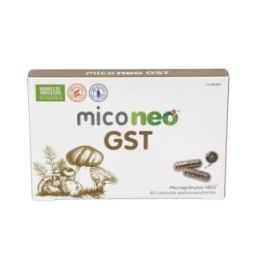 Mico Neo Gst 60Cap. Precio: 44.8900001. SKU: B19TKVG39V