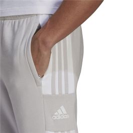 Pantalón Largo Deportivo Adidas Sq21 Sw Gris claro Hombre