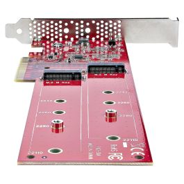 StarTech Tarjeta Adaptadora PCIe Dual M.2 NVMe AHCI a PCI Express 4.0 x8 x16 para SSDs M.2, 7.8Gbps por Unidad, 6493014h