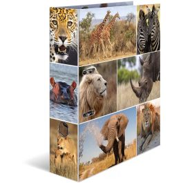 HERMA Ordner A4 África Animales