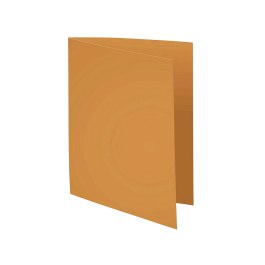 Exacompta Subcarpeta Cartulina DIN A4 Naranja 80 gr