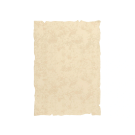Liderpapel Papel Pergamino DIN A4 con Bordes 180 gr Color Crema Paquete 50 Hojas