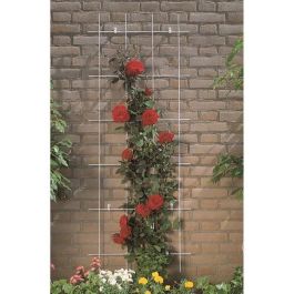 Nature Malla de Alambre Rectangular de Acero Galvanizado para Pérgola 42,5xH145cm Gris Precio: 25.95000001. SKU: B18RHYNXZL