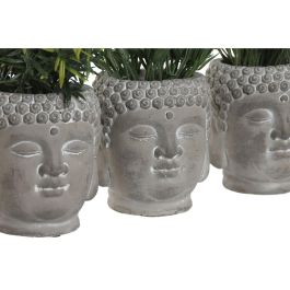 Planta DKD Home Decor Gris Verde 10 x 21 x 10 cm (3 Unidades)