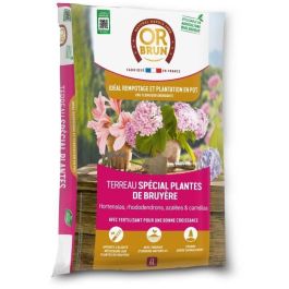 Tierra especial para macetas de brezo - OR BRUN - OBRTBRU6U - 6L - Mejor enraizamiento Tierra especial para macetas de brezo - OR BRUN - OBRTBRU6U - 6L - Mejor enraizamiento