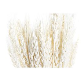 DKD Home Decor Rama Shabby Beige 20 x 64 x 20 cm (12 Unidades)