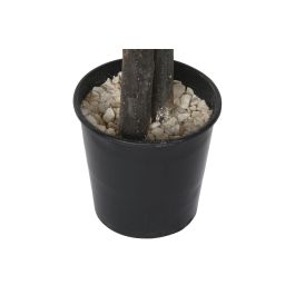 DKD Home Decor Árbol Ficus Verde 80 x 180 x 80 cm