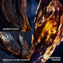 Paco Rabanne Invictus Victory Elixir Parfum Intense 50ml