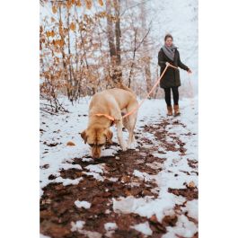 Hunter 60/L Collar Convenience Cuello 47-55 cm (Talla L) Naranja, de Plástico Resistente y Fácil Limpieza Hunter 60/L Collar Convenience Cuello 47-55 cm (Talla L) Naranja, de Plástico Resistente y Fácil Limpieza