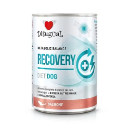 Disugual Diet Dog Recovery Salmon 6x400 gr Alimento Húmedo para Perros Precio: 16.5. SKU: B1KFA55KZF