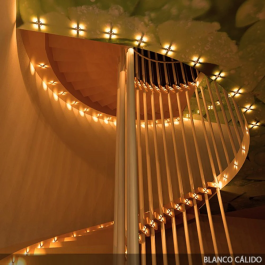 Reagan Downlight LED Empotrable 2W 180Lm 6000K "Reagan" Circular JN-S002-D-CW