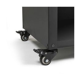 Livoo DOC329 Brasero para barbacoa sobre carro