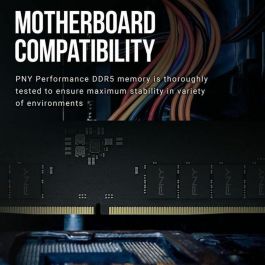 PNY PNY0751492656250 Módulo de Memoria RAM DDR5 8 GB 4800 MHz para PC - Máximo Rendimiento y Consumo Eficiente