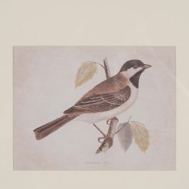 Cuadro Impresión Pájaros 2/M 43 X 2 X 53 cm