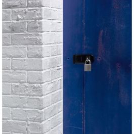 Master Lock Candado de latón macizo niquelado 40 mm, mango hexagonal acero endurecido, alta seguridad 6 pasadores y llave reversible
