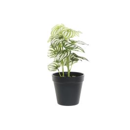 DKD Home Decor Planta Artificial Decorativa Verde Negro de PVC y Plástico de 13x27x13 cm - Pack 4 Unidades Precio: 16.0809. SKU: B1GRP2AXV8