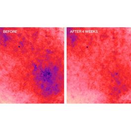 Strivectin BARRIER RESTORE+ Soothing Ceramida Cream Crema Facial con Ceramidas - 50 ml