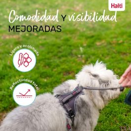 Halti Arnés Perro Anatomy Gris Talla L Cuerpo 60-85 cm, Ajustable con Asa, Acolchado Neopreno y Reflectante 360°, 3 Puntos de Enganche Halti Arnés Perro Anatomy Gris Talla L Cuerpo 60-85 cm, Ajustable con Asa, Acolchado Neopreno y Reflectante 360°, 3 Puntos de Enganche