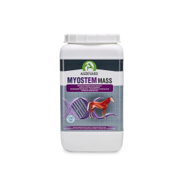 Audevard Myostem Mass 2,1 kg Alimento para Caballos para Desarrollo Muscular y Recuperación Precio: 106.7899998. SKU: B13V4EQLBL