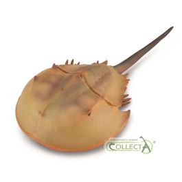 Collecta 88905 Cangrejo Herradura XL - Figura de Fósil Vivo Marino y Salobre - No es un Cangrejo Verdadero - Niños +3 años Precio: 9.9583. SKU: B18XYM5A8R