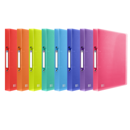 Oxford 400147041 Carpeta de anillas A4, tapa plástico translúcido, 2 anillas de 15 mm, lomo 20 mm, surtido, 100 hojas Precio: 7.79000057. SKU: B1EWB5HZ92