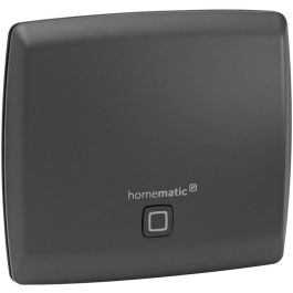 Homematic IP HmIP-HAP-A Access Point, 100 Mbit/s, Antracita