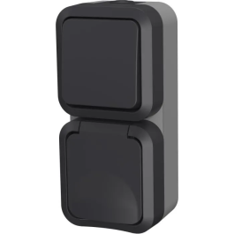 QUARX Interruptor doble + Toma vertical exterior vertical IP55 250V 16A Precio: 22.79000031. SKU: B1AELL38GR