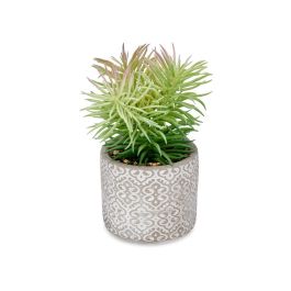 Planta Hoja Fina Maceta Gris Ibergarden 12X22CM (8 Unidades) Planta Hoja Fina Maceta Gris Ibergarden 12X22CM (8 Unidades)
