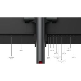 Lenovo P49w-30 Monitor 49" 32:9 In-Plane Switching 5120 x 1440, 4ms, Dual QHD, 2000:1, 350 cd/m², 98% DCI-P3