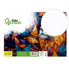 Liderpapel Bloc Dibujo Artístico Encolado 230x325mm 20 Hojas 180 g/m² Blanco Sin Recuadro Precio: 12.9978576. SKU: B137CJ5XHK