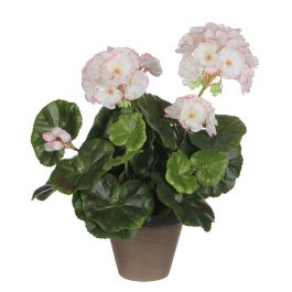 Mica Decorations Geranio Blanco Rosa PVC con Maceta Plástica Gris Ø11.5x33cm Precio: 13.6900005. SKU: S7901875