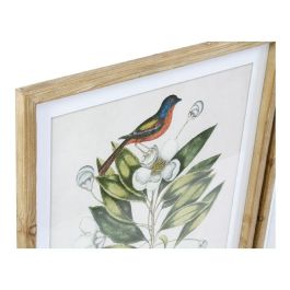 Cuadro Tropical DKD Home Decor Verde Beige 2.5 x 70 x 55 cm (4 Unidades) Cuadro Tropical DKD Home Decor Verde Beige 2.5 x 70 x 55 cm (4 Unidades)