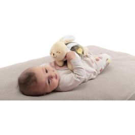Chicco CHI8058664177042 Peluche calefactable Conejo Beige Desde el nacimiento Chicco CHI8058664177042 Peluche calefactable Conejo Beige Desde el nacimiento